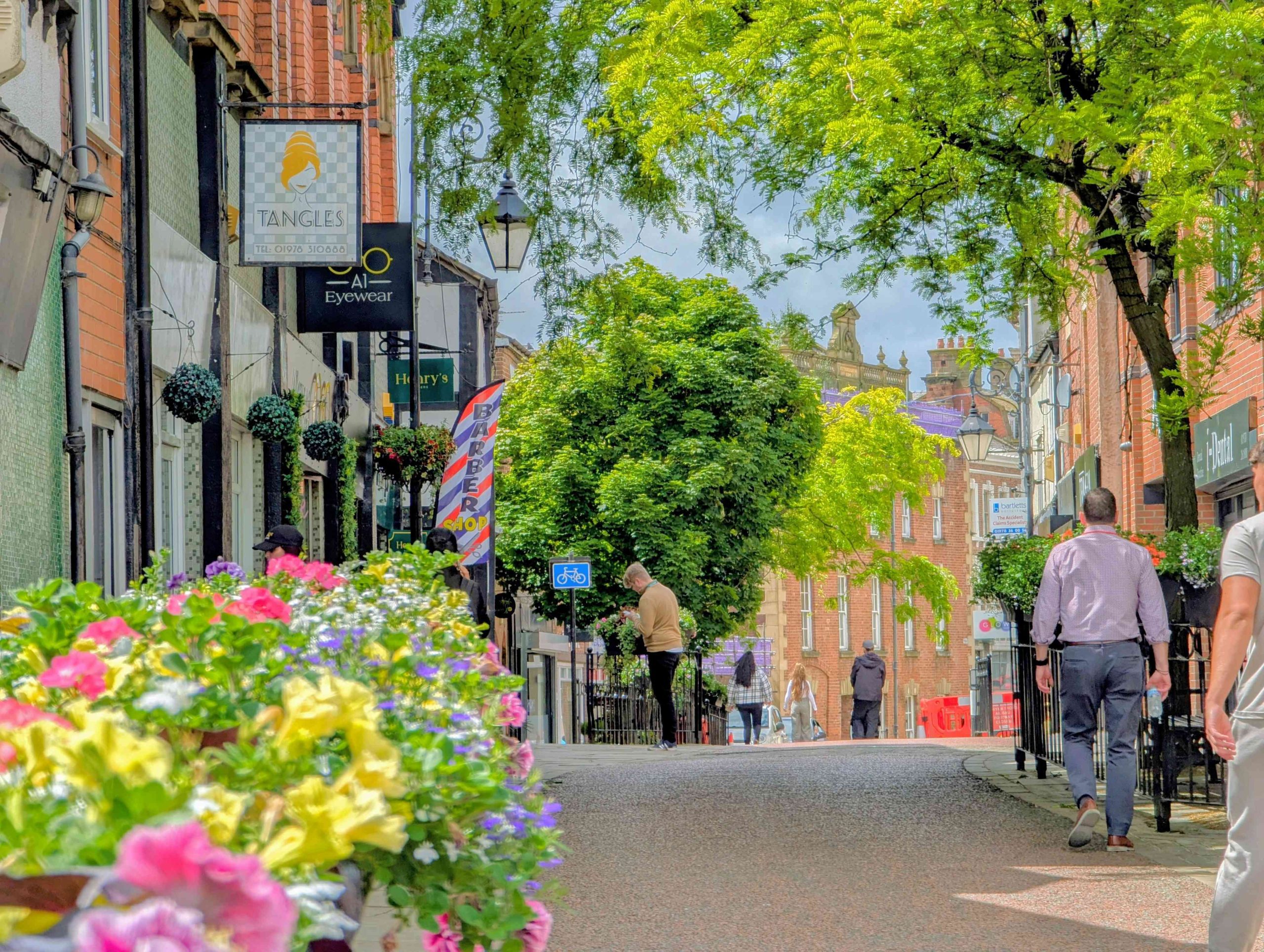 Wrexham awarded ‘2024 Tree City of the World’