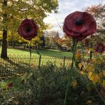 Metal poppy displays on the library field