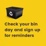 Bin day