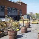 Tŷ Pawb Welcomes Volunteers Back to the Rooftop Garden!