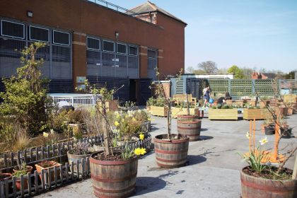 Tŷ Pawb Welcomes Volunteers Back to the Rooftop Garden!