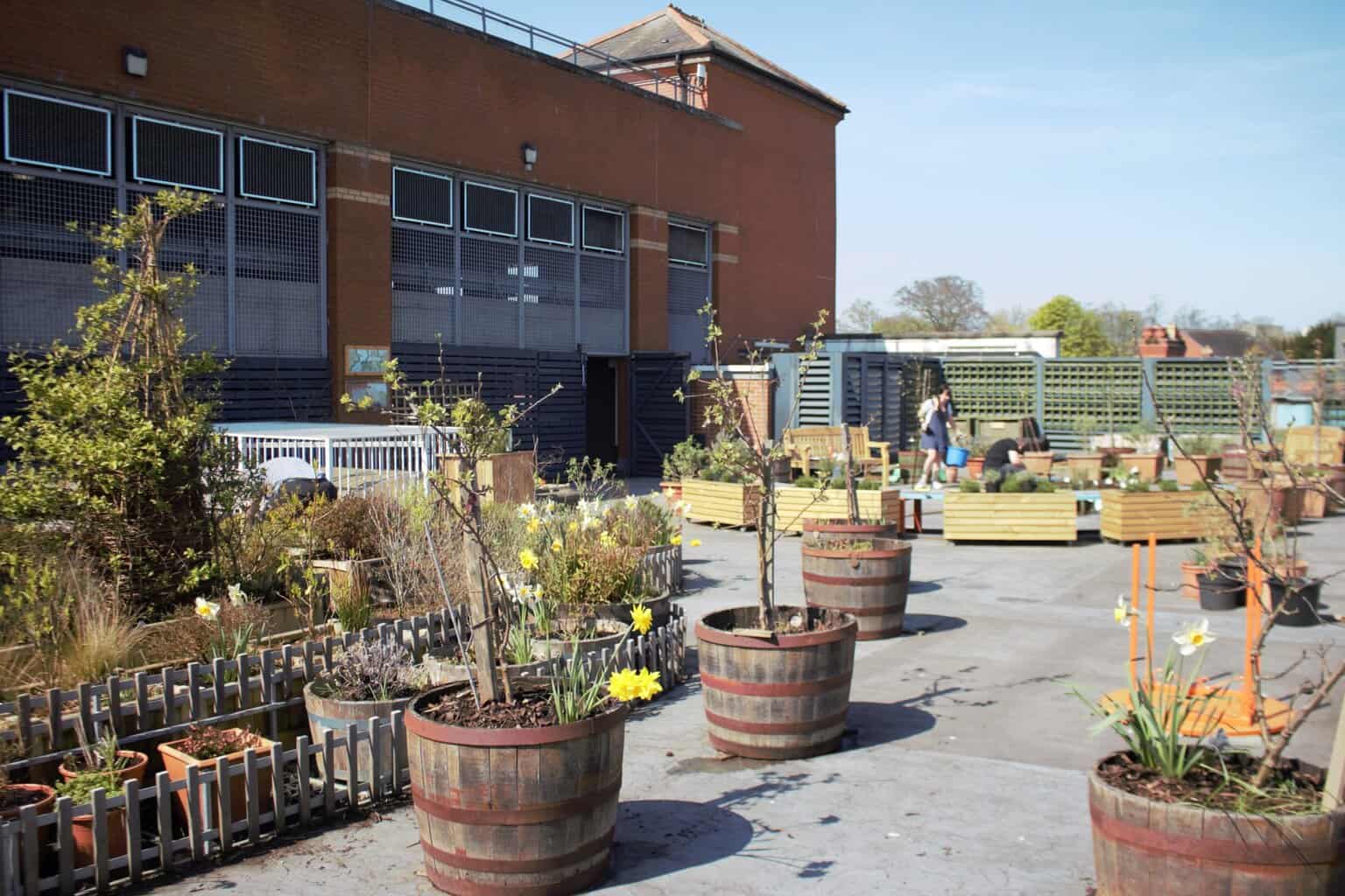 Tŷ Pawb Welcomes Volunteers Back to the Rooftop Garden!