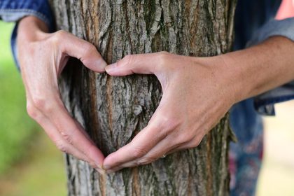 Heart tree - love your environment this Valentine's Day