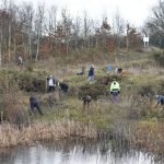 Join Wild Ground and take part in new conservation and community initiatives for all