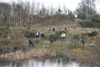 Join Wild Ground and take part in new conservation and community initiatives for all