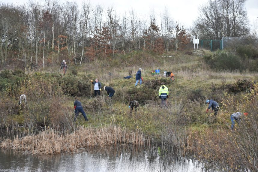 Join Wild Ground and take part in new conservation and community initiatives for all
