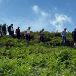 Step into summer with Wrexham Walking Festival 2026