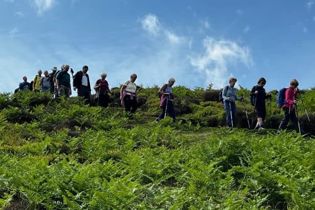 Step into summer with Wrexham Walking Festival 2026