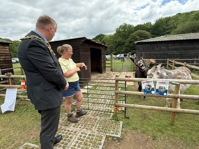 A visit to HACK Horse Sanctuary open day and dog-show