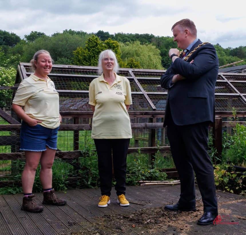 HACK horse sanctuary in Wrexham
