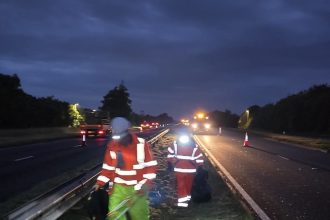 Grass cutting works scheduled for A483 corridor