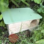 Wrexham gives hedgehogs a helping hand with a thousand new homes