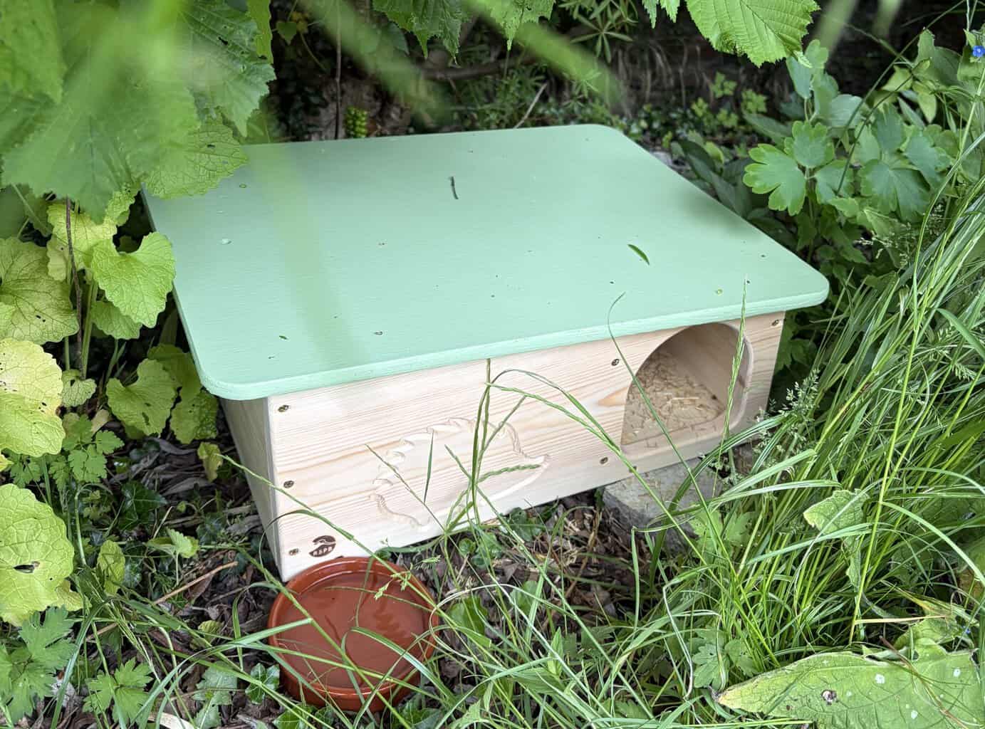Wrexham gives hedgehogs a helping hand with a thousand new homes
