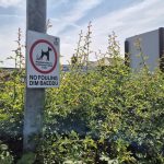 June 2026 update highlights enforcement work across Wrexham