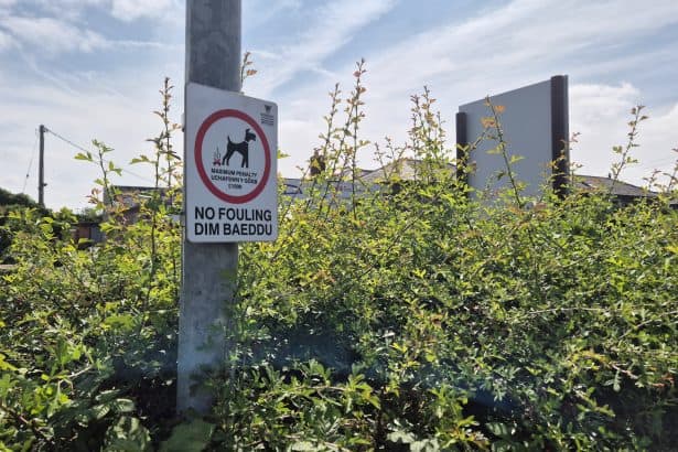 June 2026 update highlights enforcement work across Wrexham