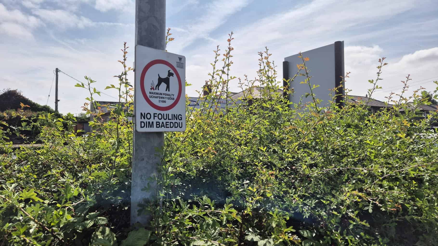 June 2026 update highlights enforcement work across Wrexham