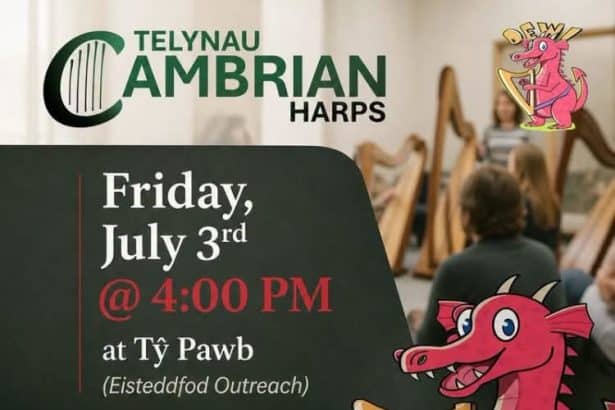 Have a go at a harp at Tŷ Pawb this Friday!