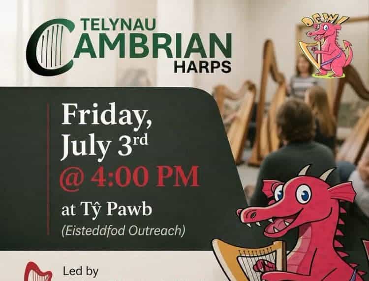 Have a go at a harp at Tŷ Pawb this Friday!