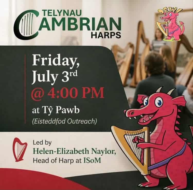 Have a go at a harp at Tŷ Pawb this Friday!