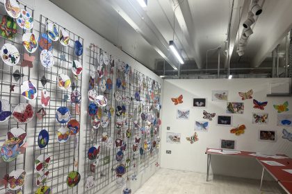Butterfly trail entries displayed at Tŷ Pawb