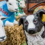 The Wrexham Sheep Trail