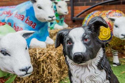The Wrexham Sheep Trail