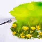 Social Prescribing to support Wrexham communities - painting hobby