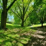 Wrexham Council backs Keep Wales Tidy’s reminder – Make Memories Not Mess this summer! 