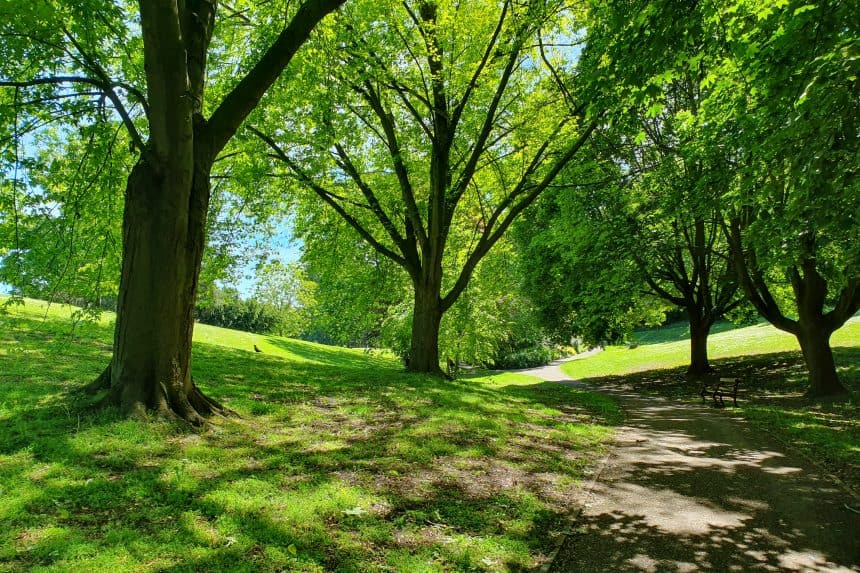 Wrexham Council backs Keep Wales Tidy’s reminder – Make Memories Not Mess this summer!