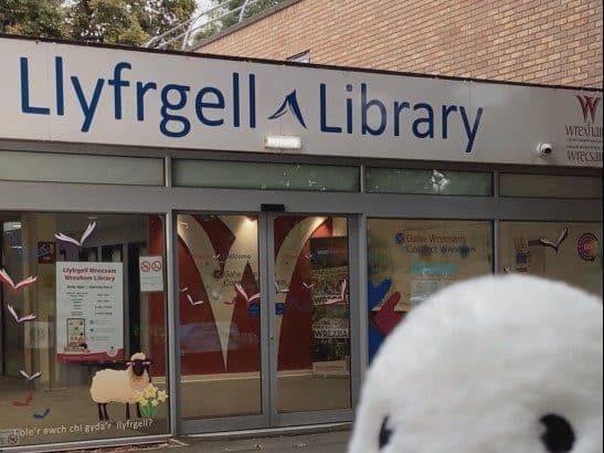 Horace outside Wrexham Library