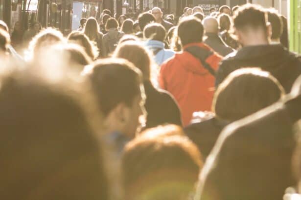 Could you be a councillor?